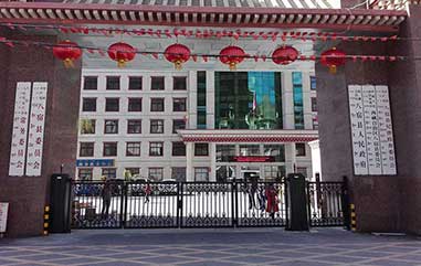 八宿縣人民政府-開(kāi)泰LH - 中出庭院別墅大門(mén)網(wǎng)